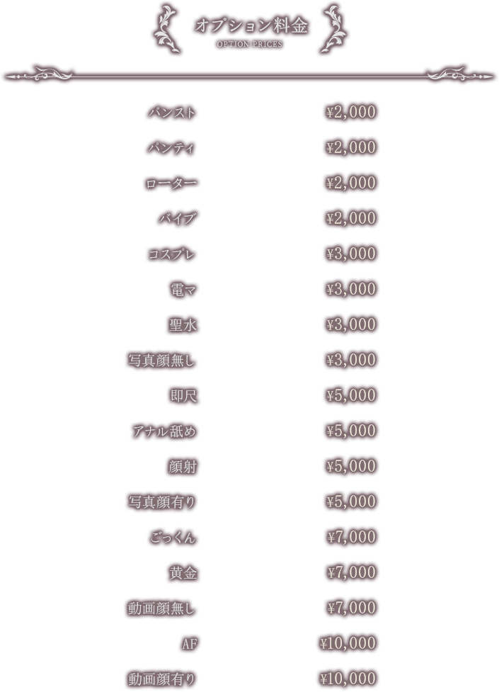 オプション料金