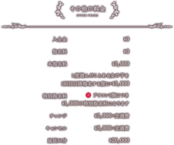 その他料金